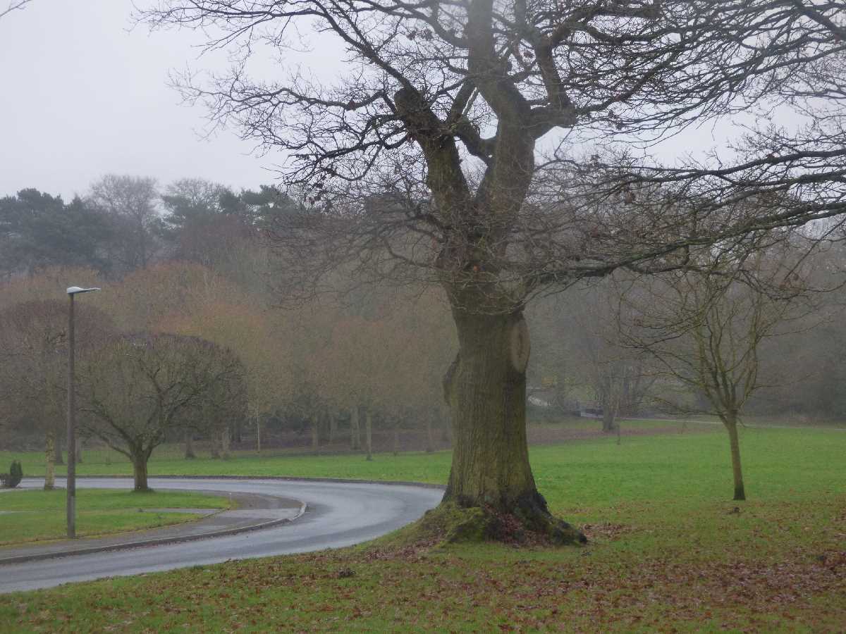 Dorridge Park in wet weather