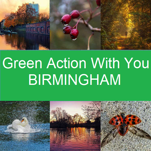 Green+Action+with+You+-+A+community+passion+in+Birmingham+