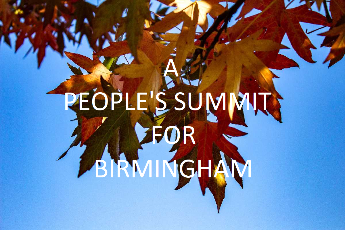 A+%27People%27s+Summit%27+to+be+held+in+Birmingham+during+2019