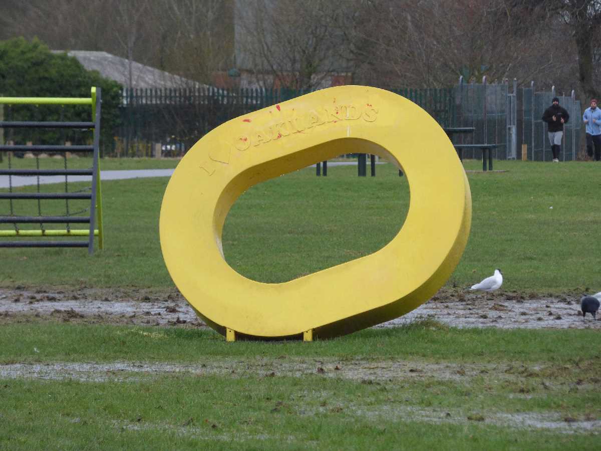 Yellow O's at the Oaklands Recreation Ground
