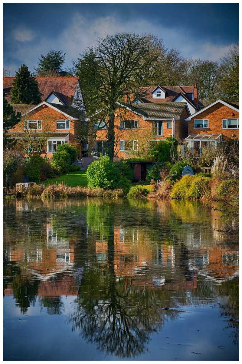 Reflections in Merecroft Pool in Kings Norton Nature Reserve, Birmingham (February 2019)