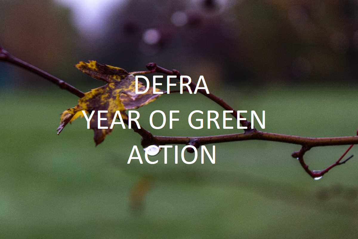 Defra+and+the+Year+of+Green+Action+(YOGA)+